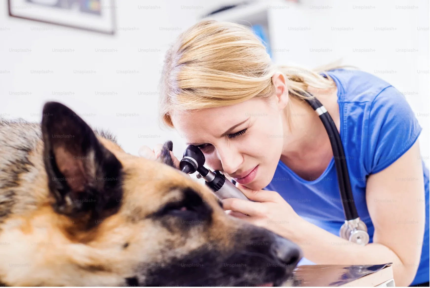 What is a unified after-visit care loop?